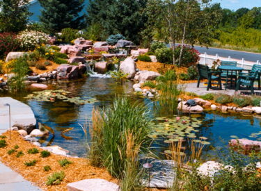 pond with boulders