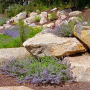 5 Tips for Choosing the Right Landscape Contractor