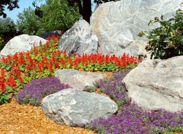 BOULDER OUTCROPPINGS