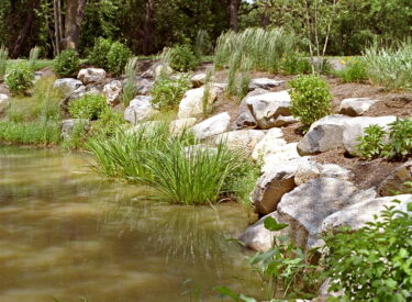 Boulder shoreline restoration