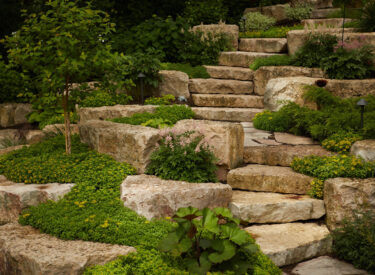 plantings landscape and boulders