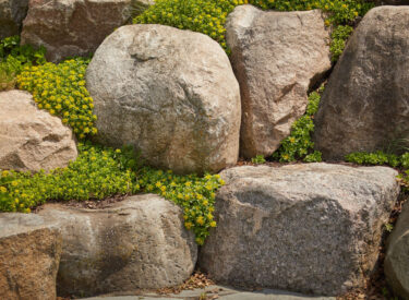 Landscape with Boulders