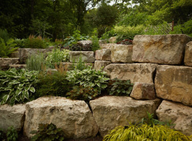 Hardscape with Boulders and vegetation 3