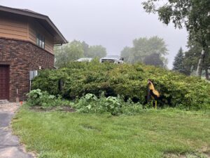 before Boulder retaining wall